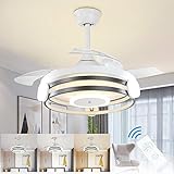 DLLT 35 Inch Retractable Ceiling Fan with Lights
