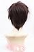 Aicos Attack on Titan Eren Jaeger Short Dark Brown Anime Cosplay Wig by 2013 wig