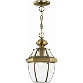 Livex Lighting 2152-01 Monterey 1-Light Outdoor Hanging Lantern, Antique Brass