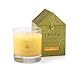 Trapp Large Poured Candle #4 Orange Vanilla (7 oz.)