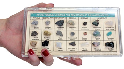 image for Educational Innovations Rocks, Fossils, Minerals, & Gemstones of the U
