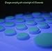 Lunar Decor Glow in The Dark Stars for Kids: 732 Self Adhesive, Glowing Star Decal for Children’s Bedrooms I Glow in The Dark Star Ceiling and Wall Stickers | 3D Glowing Dots for Nurseries, Kid Rooms