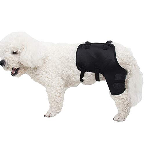 dog knee compression sleeve