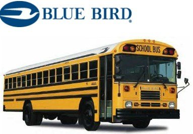 Image result for blue bird bus