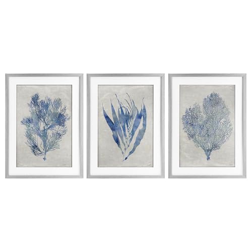 Stupell Industries Silhouette Seaweed Sprigs 3 Piece Gray Framed Print Under Gl…
