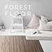 Forest Floor 3/8