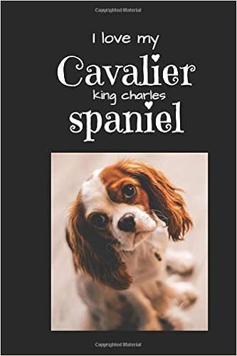 amazon cavalier king charles spaniel