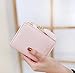 SOPEWOD Wallet for Women Cute Leather Coin Purse for Girls Ladies Small Tassel Short Wallet Card Holder (Pink)