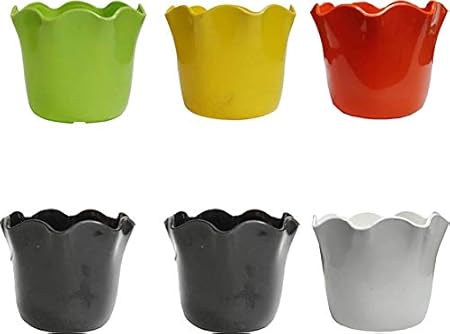 Airex Daisy Pots (Pack of 6) Plant Container (Plastic, External Height - 8 cm)