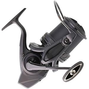 Japan Daiwa Moulinet Spinning Basia 19 45 Scw Qd – 515g – Cap.300m.0.35mm – Basia1945scwqd
