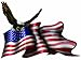 American Flag Soaring Eagle Decal 5