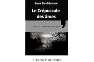 Le viel homme et le djinn (French Edition)