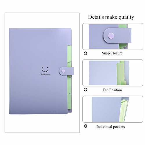 Lateral File Folders Expandable Plastic Portable Classification Accordian Folder Organizer