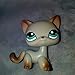 lps Short Hair Cat #391 lps Gray Cat with Blue Eyes with Accessories Drinks Bows Rare Figures Xmas Birthdays Gift
