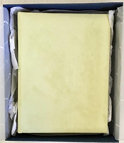Aspinal of London 12" Apple Green Suede Album