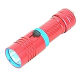tinyfish Diving Flash Light Dive Torch 1200 Lumen