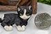 Darice 3DL-H5209 Mini Cat Resin, 1x1.9, Black White