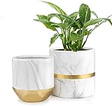 homenote White Ceramic Flower Pot Garden Planters