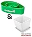 AvoSeedo Avocado Tree Growing Kit with Pot, Green & White, Practical Gifts for Women, Mom, Sister, Best Friend & Kids, Plant Indoors with Novelty Pit Grower Boat & Kitchen Garden Seed Starter