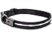 Blazin Light Up Dog Collar - The Original LED Dog Collar - USB Rechargeable - Waterproof - 1,000 Feet of Visibility - Dog Collar Light for Small, Medium, Large Dogs - USA Brand
