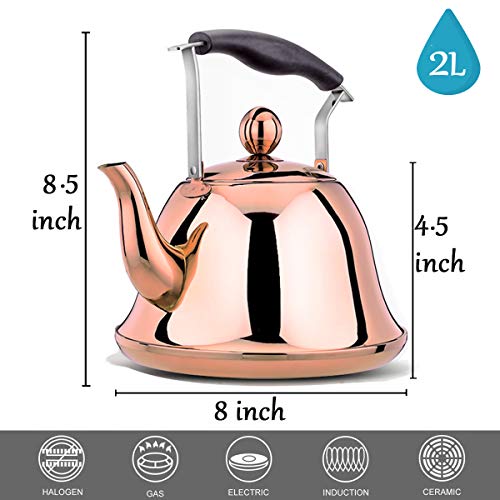 Rose gold Whistling Tea Kettle Stainless Steel Copper Stovetop Teakettle Sturdy Teapot for Tea Coffee Fast Boiling with Infuser Color Copper Mirror Finish 2 Liter / 2.1 Quart (Copper)