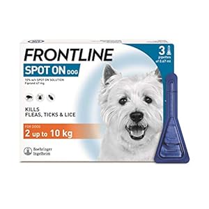 FRONTLINE-Spot-On-Flea-Tick-Treatment-for-Small-Dogs-2-10-kg-3-Pipettes FRONTLINE Spot On Flea & Tick Treatment for Small Dogs (2-10 kg) - 3 Pipettes