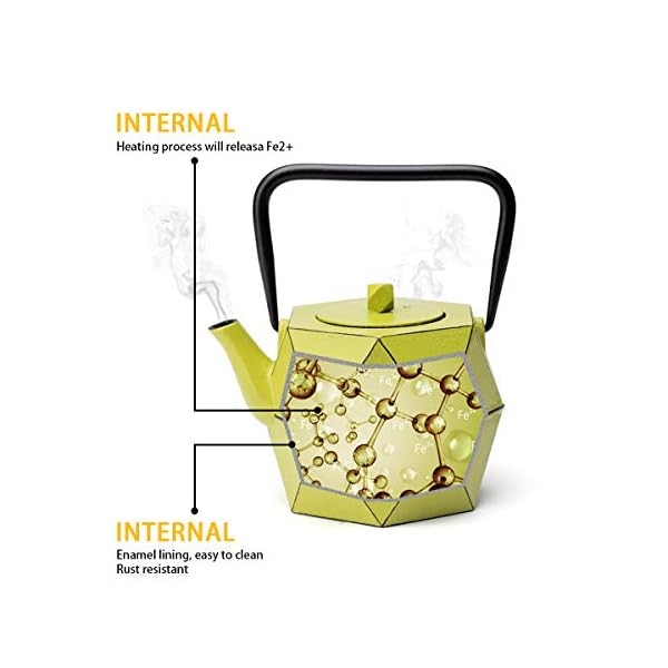 Toptier Cast Iron Teapot, Stovetop Safe Japanese Cast Iron Tea Kettle