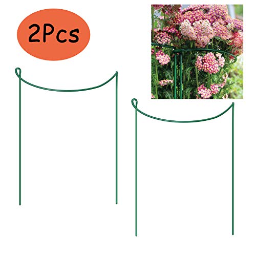KRISMYA Garden Support Stake, 2-Pack Metal Half Round Garden Plant Support Ring Hoop, Border Support, Plant Support Ring Cage for Rose Hydrangea Vine (10" Wide x 15.8" High) - Thumbnail 7