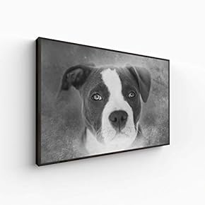 Canvas Wall Art for Living Room, Bedroom Animal Portrait Framed Canvas Prints for Home Decoration Ready to Hang - 16x24 inches