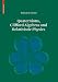 Quaternions, Clifford Algebras and Relativistic Physics