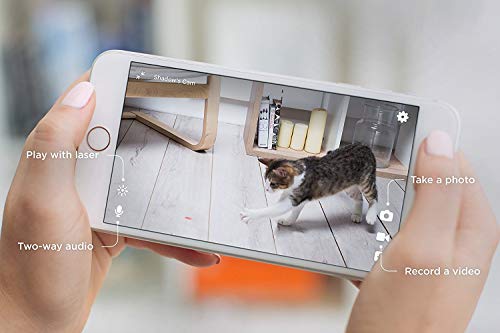 1 Petcube+Interactive+Monitor+Remotely+Compatible