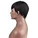 Dreambeauty Short Natural Full Wig 100 Brazilian Human Hair Silk Straight Short Wigs for African Amercian Black Women 1b/99J