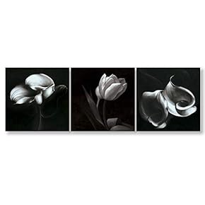 3 Panel Elegant Flowers Painting Wall Bedroom Living...