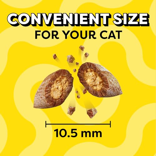 TEMPTATIONS CLASSIC CRUNCHY AND SOFT CAT TREATS SAVORY SALMON FLAVOR, 3 OZ. POUCH