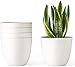 Mkono 6 Pack Plastic Plant Pots for Plants with Saucers, 5.5