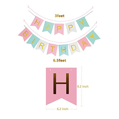Girls Birthday Decorations, Pom Poms Flowers Kit , Hanging Birthday Banner, Paper Garland, Tassels and Balloons for 1st Birthday Girl Decorations Kids Birthday by Litaus