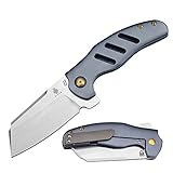 KIZER Cutlery Pocket Knives Flipper Knife Frame Lock Titanium Handles Tactical EDC Folding Knife, Sheepdog C01C Ki4488A