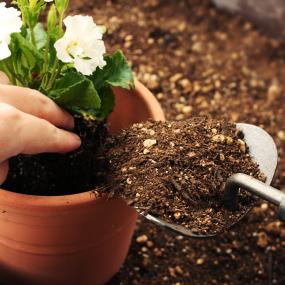 DEWIT(デウィット) ポッティングスコップ No.3049