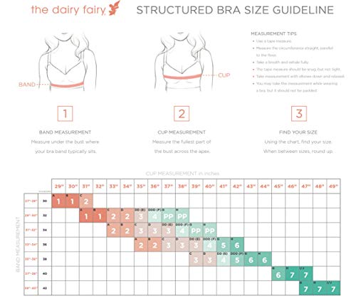 The Dairy Fairy Ayla: Underwire Nursing and Hands-Free Pumping Bra, Medium / 3, Black