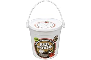 NaturesGoodGuys Live Redworms Composting Red Worms - 300 Red Wigglers