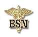 Prestige Medical Emblem Pin, BSN (Letter on Caduceus)
