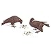 Achla Designs DOV-01 Pair Garden Animal Statuary Ornament Dove Bird, Antiqued Bronze
