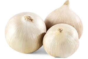 MOREL DISTRIBUTION COMPANY Elephant Garlic Rounds (Ajo Macho) Great for Fall Planting! (2 LB)