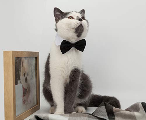 ZTON Handcrafted Adjustable Formal Pet Bowtie Collar Neck Tie for Dogs & Cats (L, Black) - Thumbnail 5