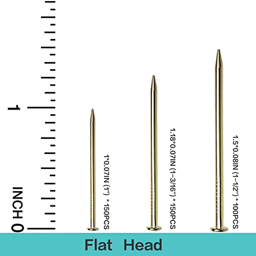 Picture Hanging Kit, Small Hammer Nails Set, Upgrade 600pcs Brass