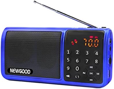 NEWGOOD Portable Digital Personal FM Radio MP3 Media Audio Player Speaker TF Card / USB Disk MP3 Music Player Support with LED Screen and Clock Hifi Digital Audio Player with LED Flashlight (blue)