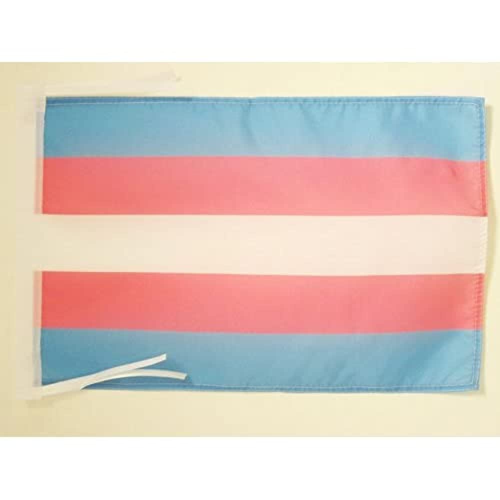 AZ FLAG - Transgender Flag - 18'' x 12'' - 100% Polyester Rainbow Small Banner with Two Cords - Fade Resistant - Vivid Colors - 18x12 in - 45x30 Cm โ image 1