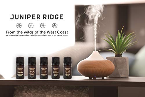 Juniper Ridge Essential Oil - White Sage - 5 ml