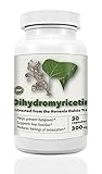 Dihydromyricetin - Hovenia Dulcis Extract - 300mg - Ultimate Hangover Prevention and Cure