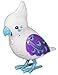 Little Live Pets Bird - Lucky Lee